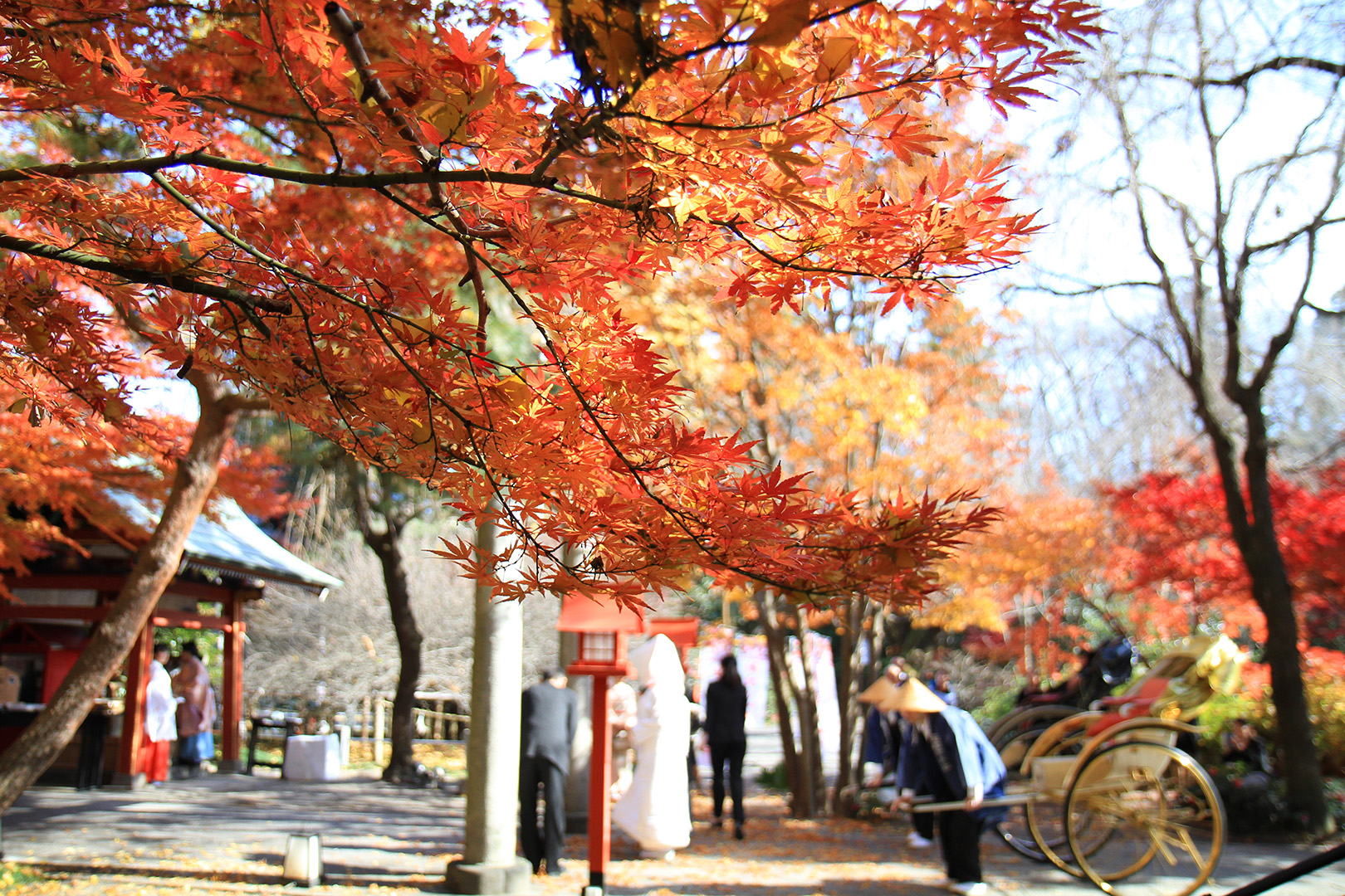もうすぐ秋がやってきますね 秋と言ったら紅葉 秋には素敵な紅葉をバックにロケーションフォトはいかがでしょうか 宮の森迎賓館ウエディングblog