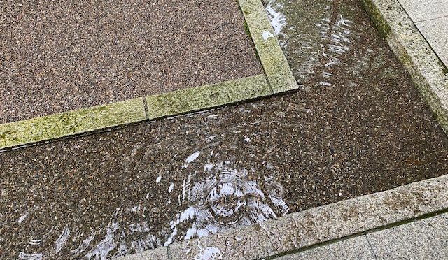 4連休1日目ですが、あいにくの雨です。拝殿前の水溜りが池のようです。雨のしずくが落ちると、水面が揺れて風情があります。