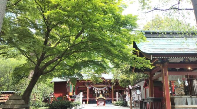 清々しい季節✿