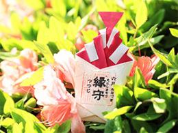  6月:聖天宮のつつじ